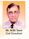 Dr  M M Seam